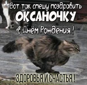 Скачать бесплатно Прикольная картинка с поздравлением с днем рождения Оксане на сайте WishesCards.ru