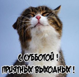 Скачать бесплатно Прикольная картинка с субботой приятных выходных на сайте WishesCards.ru