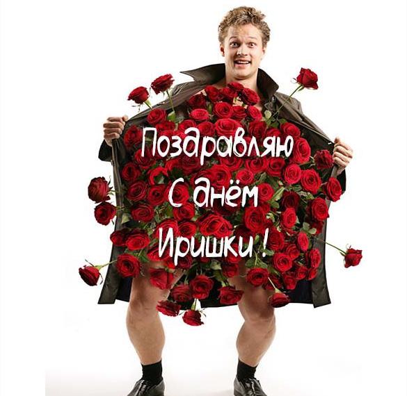 Скачать бесплатно Прикольная картинка с веселым поздравлением с днем Иришки на сайте WishesCards.ru