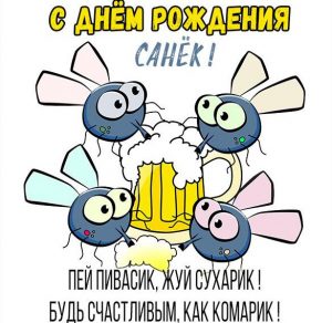 Скачать бесплатно Прикольная картинка Санька с днем рождения на сайте WishesCards.ru