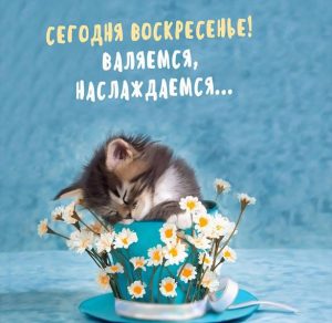 Скачать бесплатно Прикольная картинка сегодня воскресенье на сайте WishesCards.ru