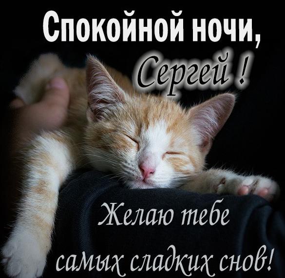Скачать бесплатно Прикольная картинка Сергей спокойной ночи на сайте WishesCards.ru