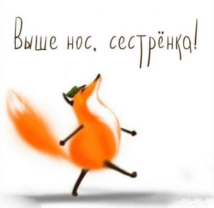 Скачать бесплатно Прикольная картинка сестре на сайте WishesCards.ru