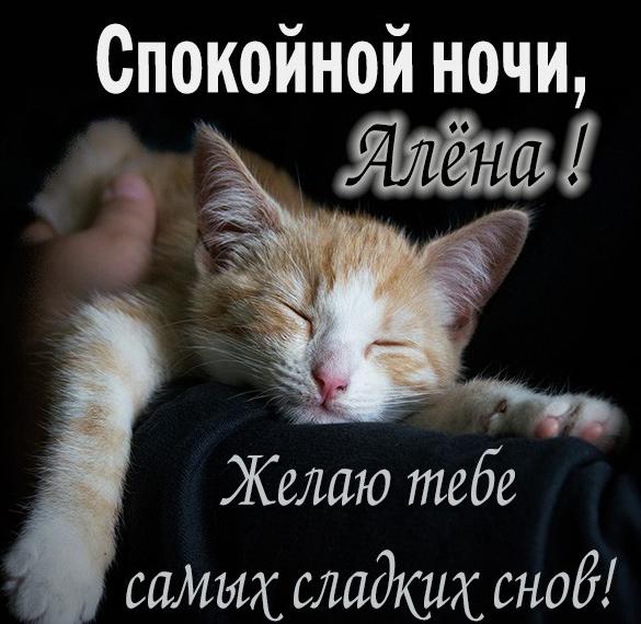 Скачать бесплатно Прикольная картинка спокойной ночи Алена на сайте WishesCards.ru