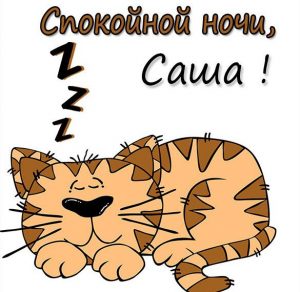 Скачать бесплатно Прикольная картинка спокойной ночи Саша на сайте WishesCards.ru