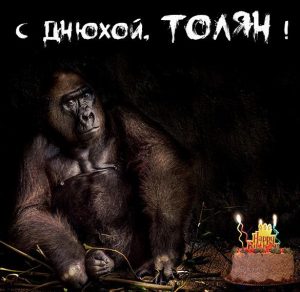 Скачать бесплатно Прикольная картинка Толян с днюхой на сайте WishesCards.ru