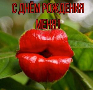 Скачать бесплатно Прикольная картинка у меня день рождения с цветами на сайте WishesCards.ru