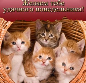 Скачать бесплатно Прикольная картинка удачного понедельника на сайте WishesCards.ru
