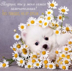 Скачать бесплатно Прикольная красивая открытка подруге просто так на сайте WishesCards.ru