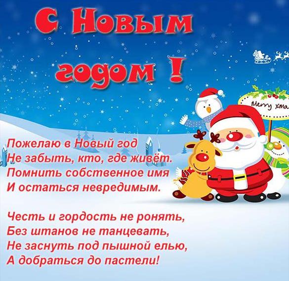 Скачать бесплатно Прикольная новогодняя открытка на сайте WishesCards.ru