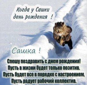 Скачать бесплатно Прикольная открытка для Саши с днем рождения на сайте WishesCards.ru