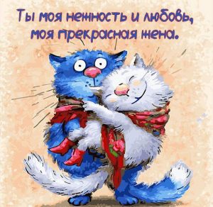 Скачать бесплатно Прикольная открытка для жены на сайте WishesCards.ru