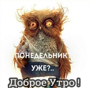 Скачать бесплатно Прикольная открытка доброе утро понедельника в картинке на сайте WishesCards.ru