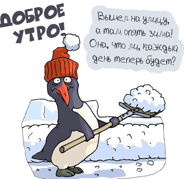 Скачать бесплатно Прикольная открытка доброе зимнее утро на сайте WishesCards.ru