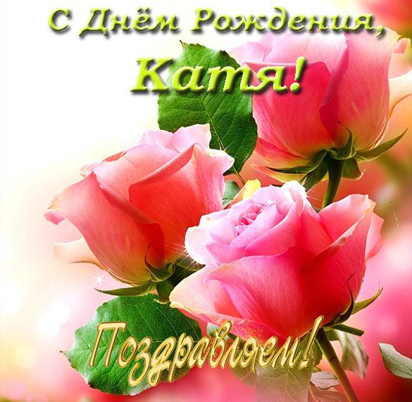Скачать бесплатно Прикольная открытка Кате с днем рождения на сайте WishesCards.ru
