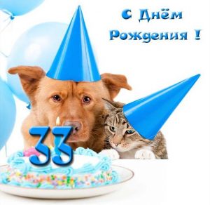 Скачать бесплатно Прикольная открытка на 33 года на сайте WishesCards.ru