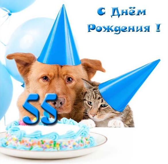 Скачать бесплатно Прикольная открытка на 55 лет на сайте WishesCards.ru