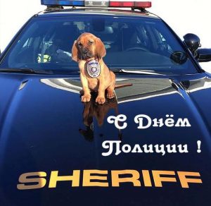 Скачать бесплатно Прикольная открытка на день полиции на сайте WishesCards.ru