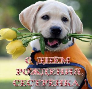 Скачать бесплатно Прикольная открытка на день рождения сестре на сайте WishesCards.ru