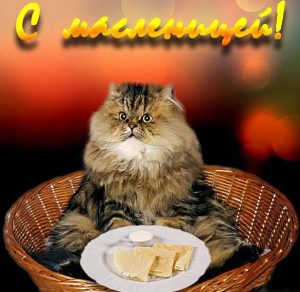 Скачать бесплатно Прикольная открытка на Масленицу с поздравлением в стихах на сайте WishesCards.ru
