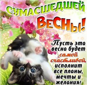 Скачать бесплатно Прикольная открытка на начало весны на сайте WishesCards.ru