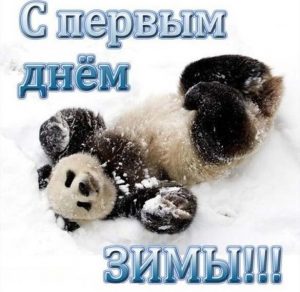 Скачать бесплатно Прикольная открытка на первый день зимы на сайте WishesCards.ru