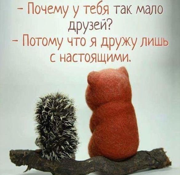 Скачать бесплатно Прикольная открытка про дружбу на сайте WishesCards.ru