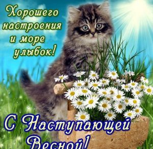 Скачать бесплатно Прикольная открытка с 1 днем весны на сайте WishesCards.ru