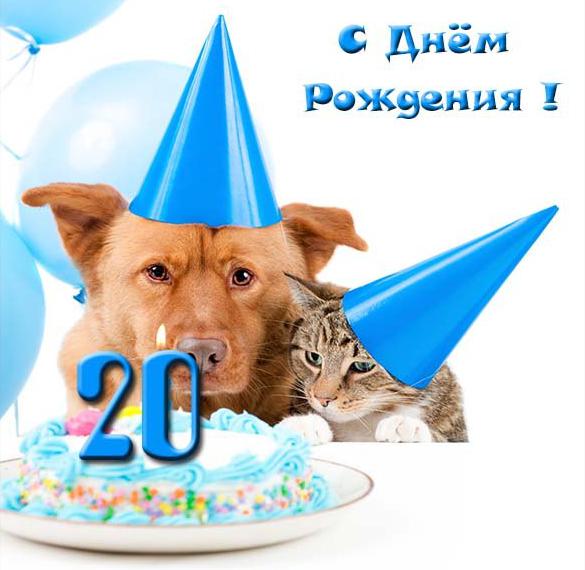 Скачать бесплатно Прикольная открытка с 20 летием парню на сайте WishesCards.ru