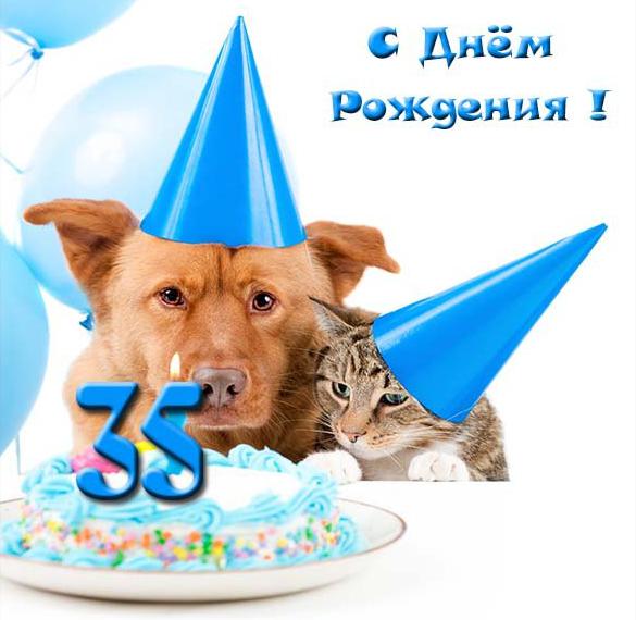 Скачать бесплатно Прикольная открытка с 35 летием женщине на сайте WishesCards.ru