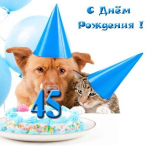 Скачать бесплатно Прикольная открытка с 45 летием на сайте WishesCards.ru