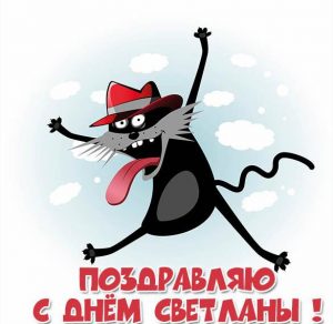 Скачать бесплатно Прикольная открытка с днем имени Светлана на сайте WishesCards.ru
