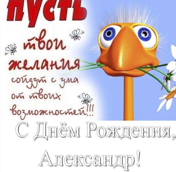 Скачать бесплатно Прикольная открытка с днем рождения Александр на сайте WishesCards.ru