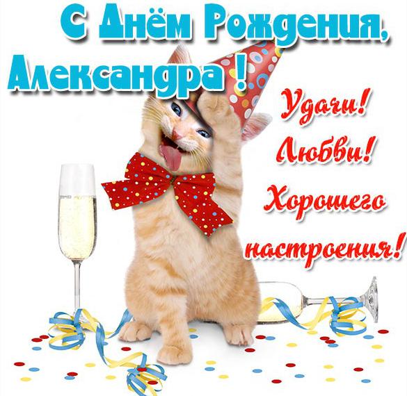 Скачать бесплатно Прикольная открытка с днем рождения Александра на сайте WishesCards.ru