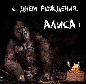 Скачать бесплатно Прикольная открытка с днем рождения Алиса на сайте WishesCards.ru