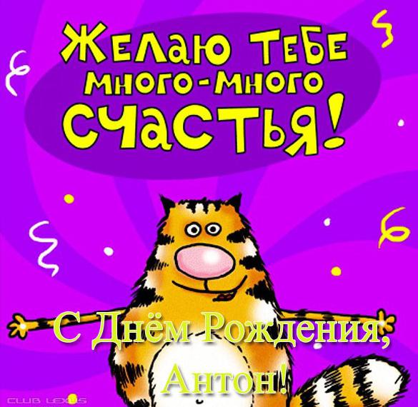 Скачать бесплатно Прикольная открытка с днем рождения Антону на сайте WishesCards.ru