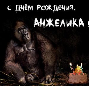 Скачать бесплатно Прикольная открытка с днем рождения Анжелика на сайте WishesCards.ru