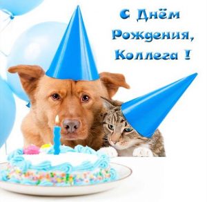Скачать бесплатно Прикольная открытка с днем рождения девушке коллеге на сайте WishesCards.ru