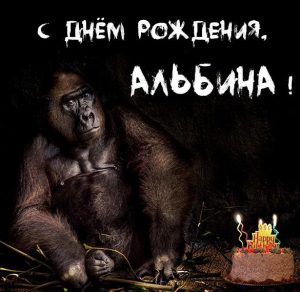 Скачать бесплатно Прикольная открытка с днем рождения для Альбины на сайте WishesCards.ru