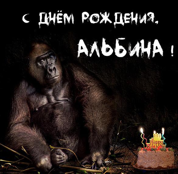 Скачать бесплатно Прикольная открытка с днем рождения для Альбины на сайте WishesCards.ru