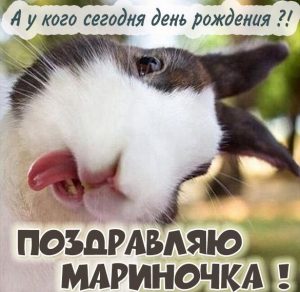 Скачать бесплатно Прикольная открытка с днем рождения для Мариночки на сайте WishesCards.ru