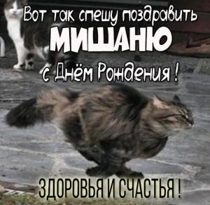 Скачать бесплатно Прикольная открытка с днем рождения для Миши на сайте WishesCards.ru