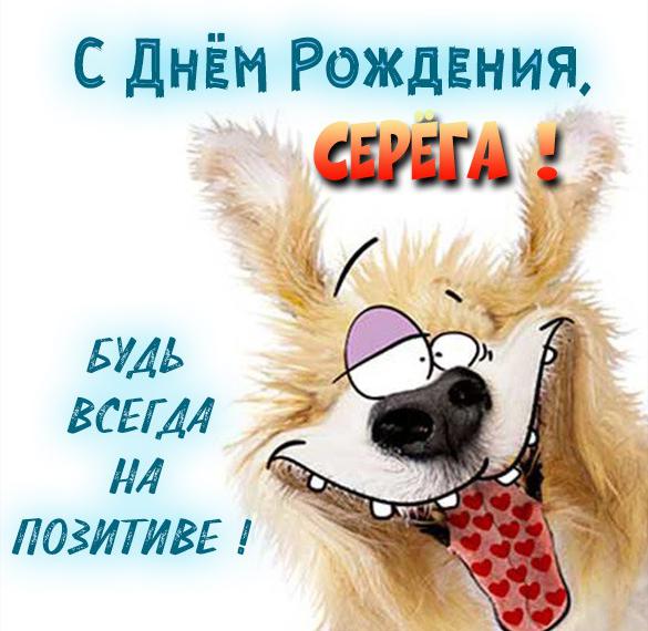 Скачать бесплатно Прикольная открытка с днем рождения для Сергея на сайте WishesCards.ru