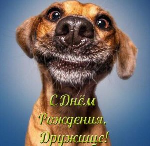 Скачать бесплатно Прикольная открытка с днем рождения друга на сайте WishesCards.ru