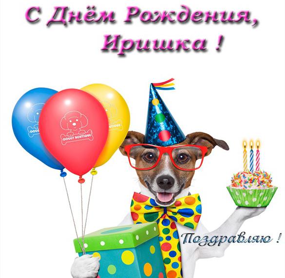Скачать бесплатно Прикольная открытка с днем рождения Иришка на сайте WishesCards.ru