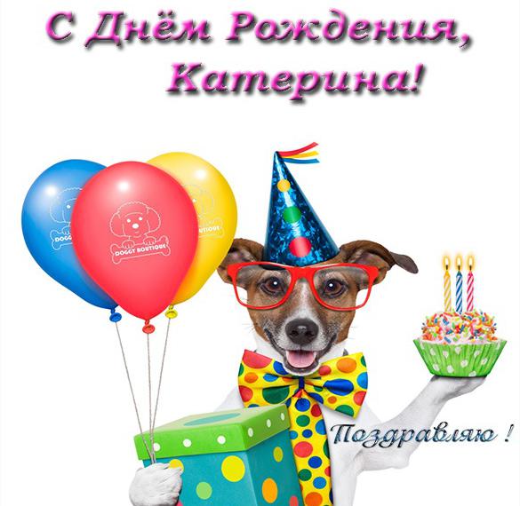 Скачать бесплатно Прикольная открытка с днем рождения Катерине на сайте WishesCards.ru