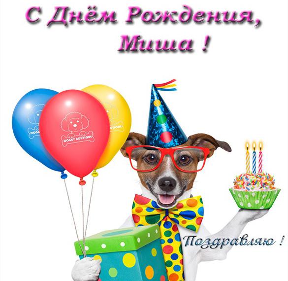 Скачать бесплатно Прикольная открытка с днем рождения Миша на сайте WishesCards.ru