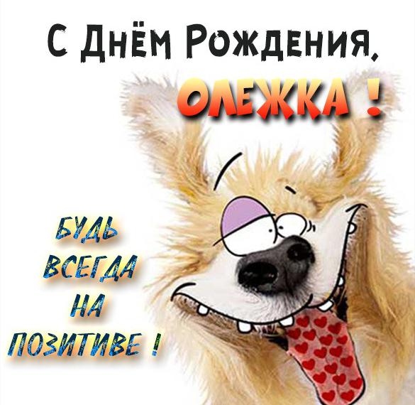 Скачать бесплатно Прикольная открытка с днем рождения мужчине Олегу на сайте WishesCards.ru