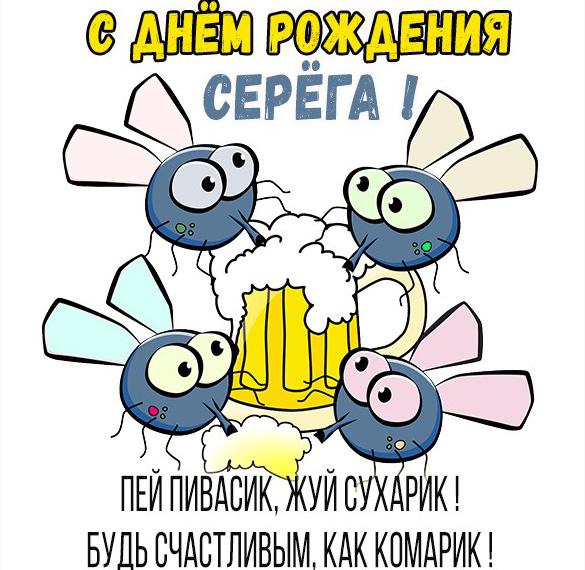 Скачать бесплатно Прикольная открытка с днем рождения мужчине Сереге на сайте WishesCards.ru