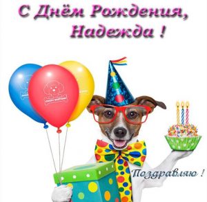 Скачать бесплатно Прикольная открытка с днем рождения Надежде на сайте WishesCards.ru